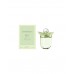 Туалетная вода Fresh женская Women'Secret