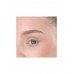 Бронзирующая пудра для лица Wet N Wild Color Icon palm