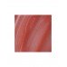 Блеск для губ Eva Mosaic Power Gloss тон 06