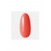 Гель-лак для ногтей Base&Color тон 5 Гель-лак для ногтей Base&Color тон 5