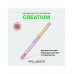 Карандаш для губ с плампером Creatium тон